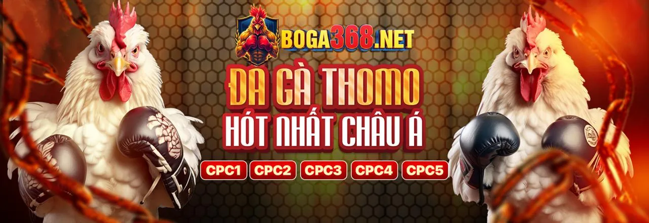Nền tảng an toàn f186 game
